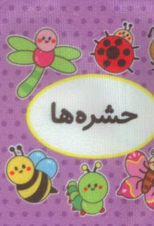 اولین کتاب تصویری من (حشره‌ها)