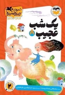 کتاب یک شب عجیب