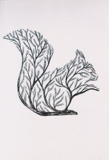 دفتر طراحی 50 برگ فنر بالا رحلی حیوانات (هدهد) - سنجاب