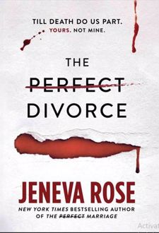 The Perfect Divorce