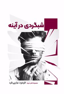 کتاب شبگردی در آینه