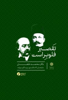 تقصیر فلوبر است