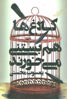 کلاغ ها هم بستنی می خورند