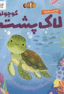لاک پشت کوچولو:داستانی درباره ی چرخه ی زندگی یک لاک پشت