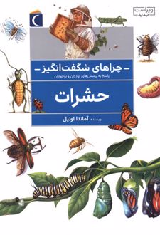 حشرات
