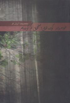 خودم را در کوچه های اصفهان گم کرده ام