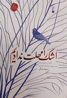 اشک را مهلت ندادیم
