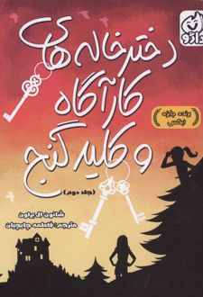 دخترخاله های کارآگاه و کلید گنج (جلد 2)