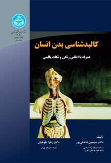 کالبدشناسی بدن انسان