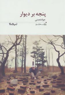 پنجه بر دیوار