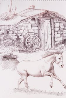 دفتر طراحی 50 برگ فنر بالا رحلی حیوانات (هدهد) - اسب