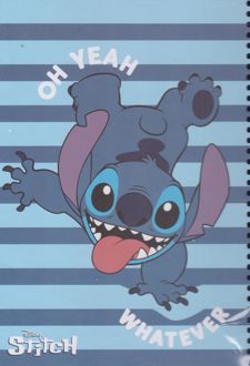 دفتر 100 برگ School وزیری جلدسخت استیچ (لانگو)