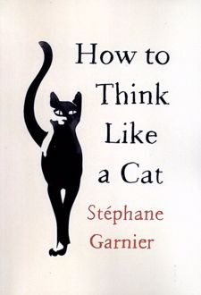 How to Think Like a Cat