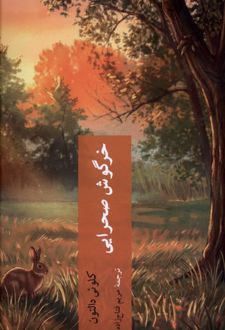 خرگوش صحرایی