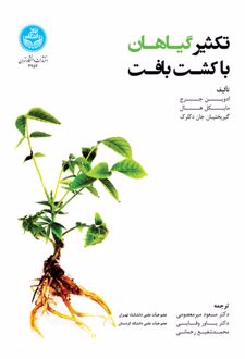 تکثیر گیاهان با کشت بافت