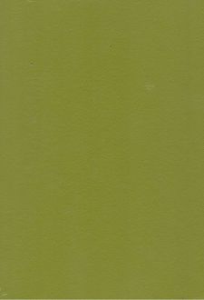 دفتر یادداشت 60 برگ رقعی سری دانوش (دموت) سبز