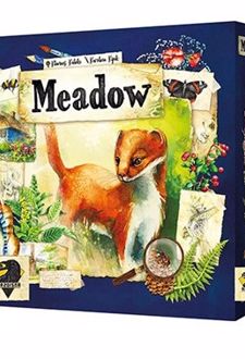 مدو Meadow