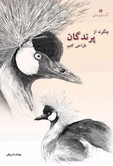 چگونه از پرندگان طراحی کنیم