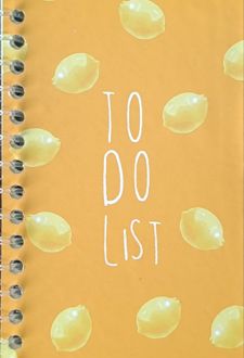 تودولیست جلد سخت سیمی (پودل) نارنجی