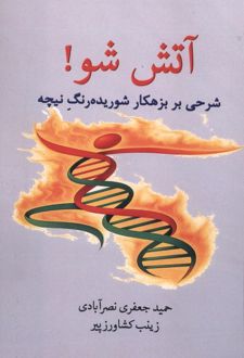 آتش شو