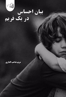 کتاب بیان احساس در یک فریم