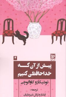 کتاب پیش از آن که خداحافظی کنیم