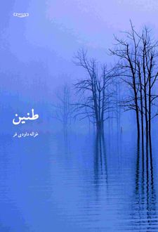 طنین