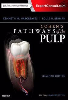 Cohen's Pathways of the Pulp