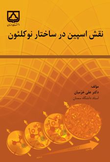 نقش اسپین در ساختار نوکلئون