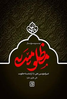 کتاب بیست و پنج سال مظلومیت
