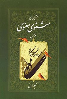 شرح جامع مثنوی معنوی (دفتر اول)