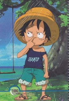 دفتر 100 برگ جلد مقوایی سیمی انیمه (میم) وان پیس