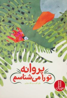 پروانه تو را می شناسم