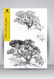 طراحی قدم به قدم درختان