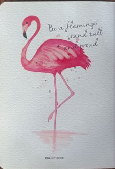 دفتر بلو وزیری (پیل - فلامینگو)