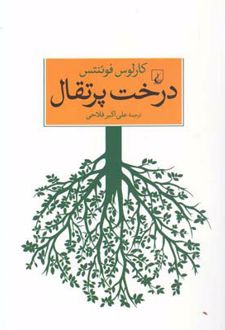 درخت پرتقال