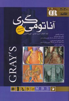 آناتومی گری