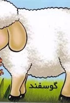 گوسفند