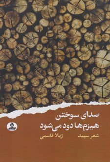 صدای سوختن هیزم ها دود می شود