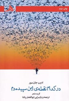 در کدام نقطه این سپیده دم