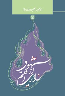 زائری از اقلیم شهود