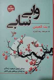 وابی سابی