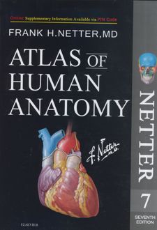 Netter Atlas of Human Anatomy