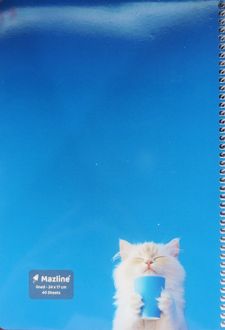 دفتر 40 برگ سیمی (مازلاین) - آبی گربه