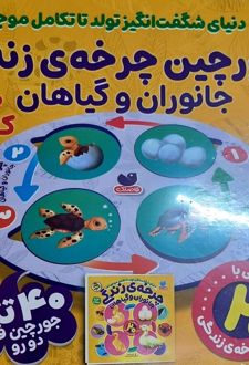 جورچین چرخه زندگی جانوران و گیاهان + کتاب