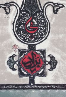 بی برادر