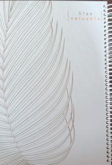 دفتر 100 برگ جلد‌سخت سیمی سری‌فانتزی (لانگو) Gold