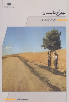 نیم رخ تابستان