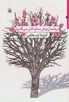 درخت از میان سایه اش می گذرد