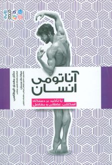 آناتومی انسان